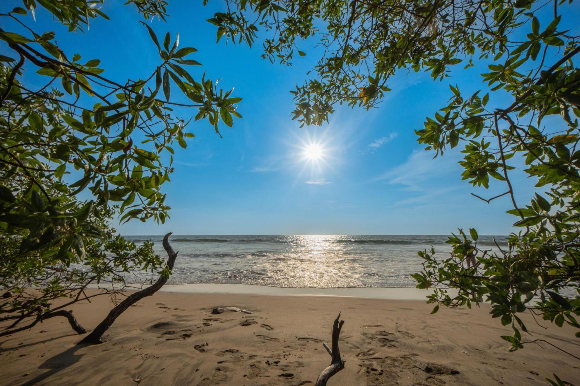 Vr Beachwalk Avellanas Gasthof Playa Avellana