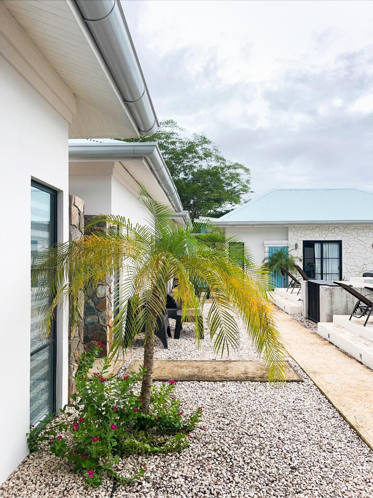 Vr Beachwalk Avellanas